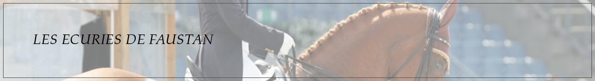 LES ECURIES DE FAUSTAN